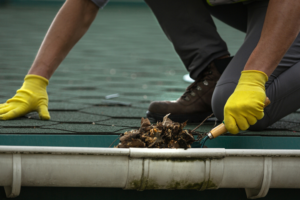 Gutter Cleaning