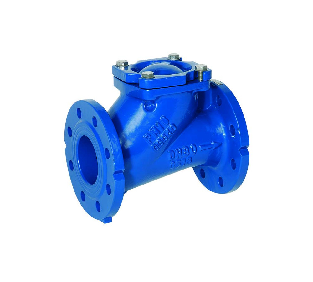 Check Valve