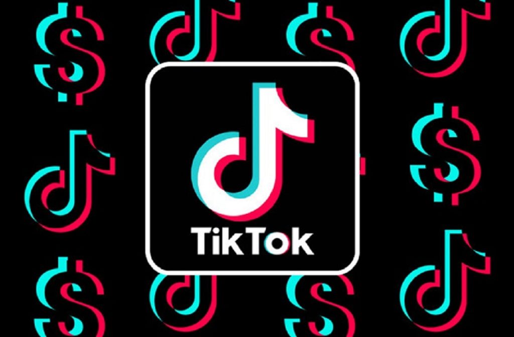 tiktok video downloader